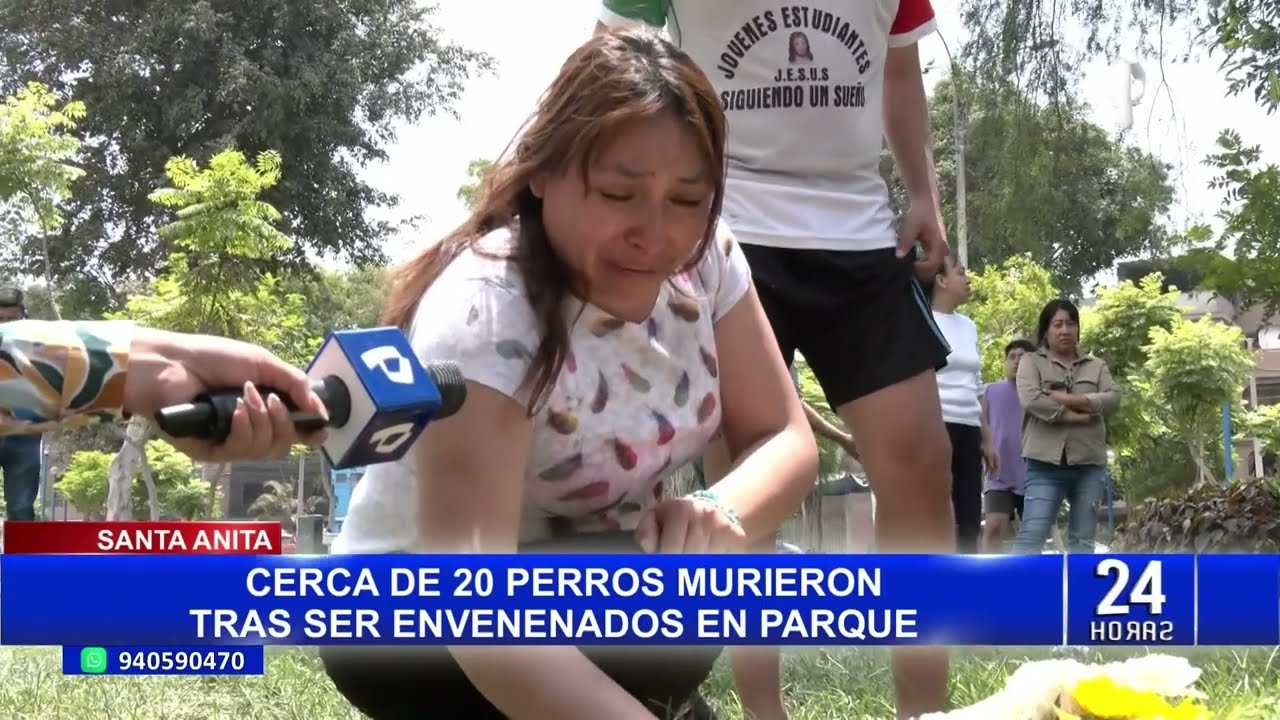 Santa Anita: denuncian que desconocidos envenenaron a 20 perros en parque local