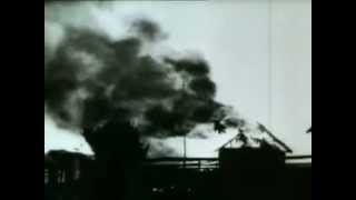 Crystalium - Analyse du digne vulgaire