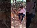 પાલતુ પ્રાણી સેવા#🐕🐕#trending #seva#dog help