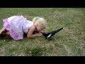 Дети и птицы. Сорока и ребенок. Birds and Kids.