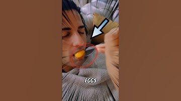 Raw Egg Under the Microscope! 😱