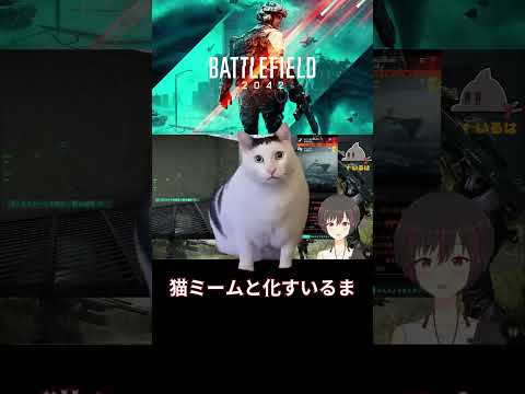 猫ミームと化すいるま【Battlefield™ 2042】