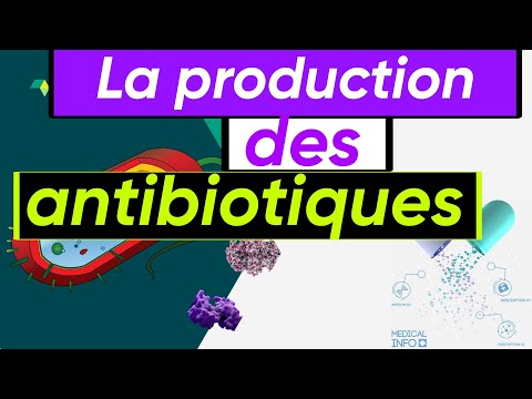 Vidéo: Quels antibiotiques bloquent la production de protéines bactériennes ?