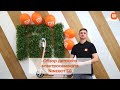 Обзор детского электросамоката Ninebot e8