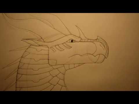 How to Draw a HiveWing Headshot from Wings of Fire - YouTube