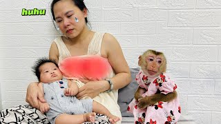 Monkey Diana is worried because her mother's blocked milk ducts make baby cry.