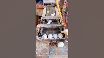 🤔the mastery of egg sorting 🥚 #Duet #satisfying #oddlysatisfying