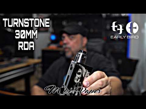 Early Bird Turnstone 30mm Rda