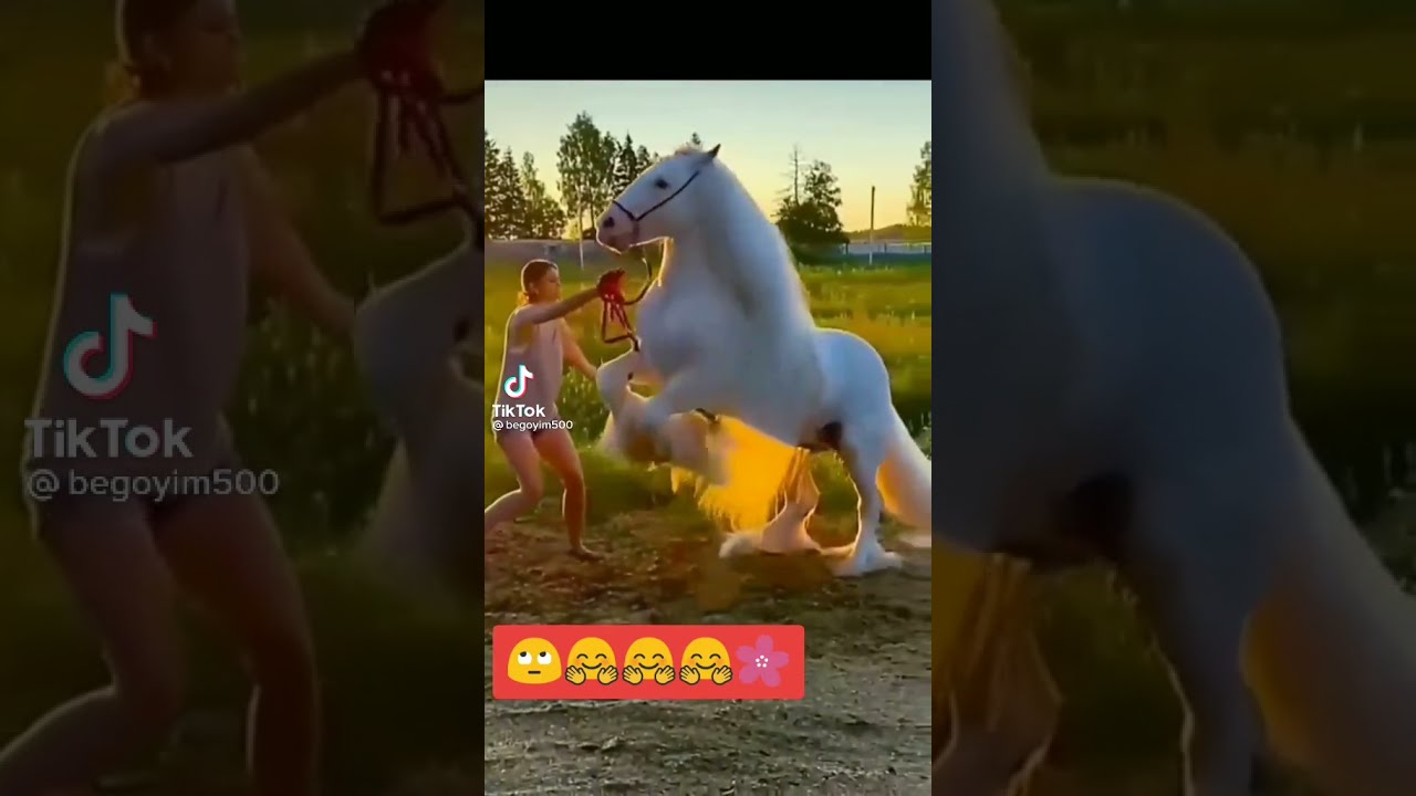 Порно Женщин С Конем Рассказ