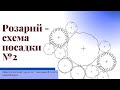 Схема посадки розария в бело-голубой гамме. Практический урок от ландшафтного дизайнера.