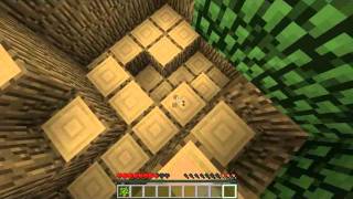 TheMinecraftersCrew plays Minecraft - Planetoids part 1