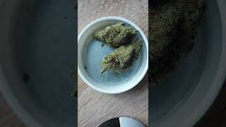 MAC 1 / 420 Evolution 22/1 CA MAC 1