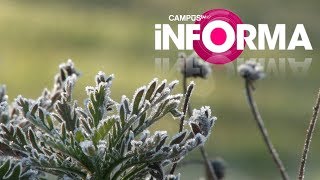 Bajas Temperaturas en el Maule