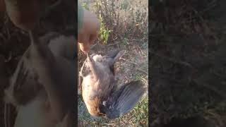 17 ມີນາ 2025