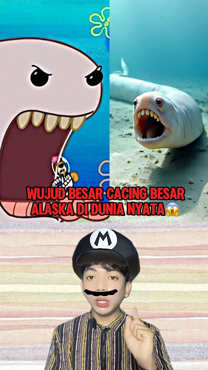 Wujud Asli Cacing Besar Alaska Di Dunia Nyata😱‼️ #shorts #animasi #spongebobsquarepants #fyp