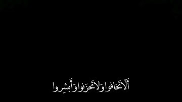 كروما شاشة سوداء قرآن كريم - تلاوة من سورة فصلت - الشيخ ناصر القطامي