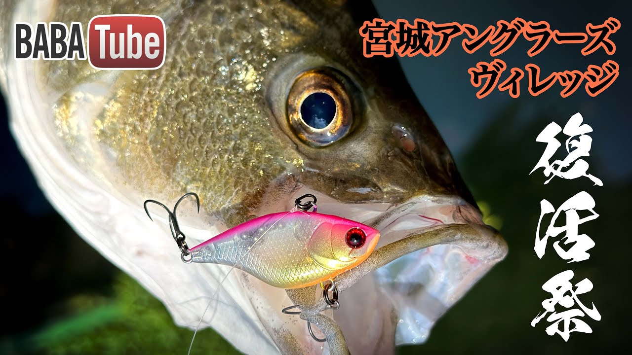 BABATube【宮城アングラーズヴィレッジ】チャビー復活祭！！エリアバスフィッシングモデル登場