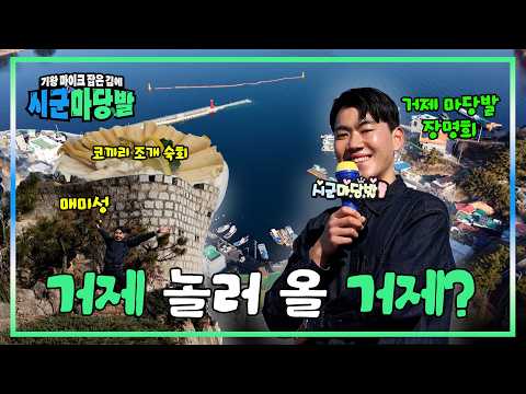 [시군마당발] 거제 놀러 올 거제? | 스크롤 (KBS 2026.02.10. 화 방송)