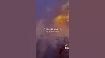 أفلا ينظرون إلى الإبل كيف خلقت تلاوة خاشعة
