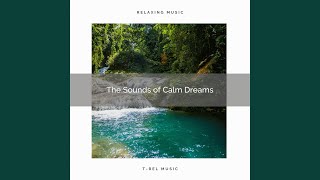 Download Lagu Power of Shooting Beach Noises and Nature Sounds for Recharging Moments pt. 2 Download Lagu Power of Shooting Beach Noises and Nature Sounds for Recharging Moments pt. 2