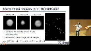 Physics- and Learning-Based Sparse Phase Reconstruction of Holographic Lens-Free Images