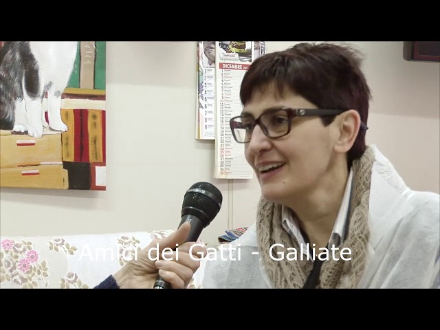 Amici del Gatti - Onlus. Galliate. Prima parte