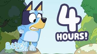 🔴LIVE: Will Bluey Make it Across The Creek? 😮💙 | 4 HOURS of Adventure! | Bluey