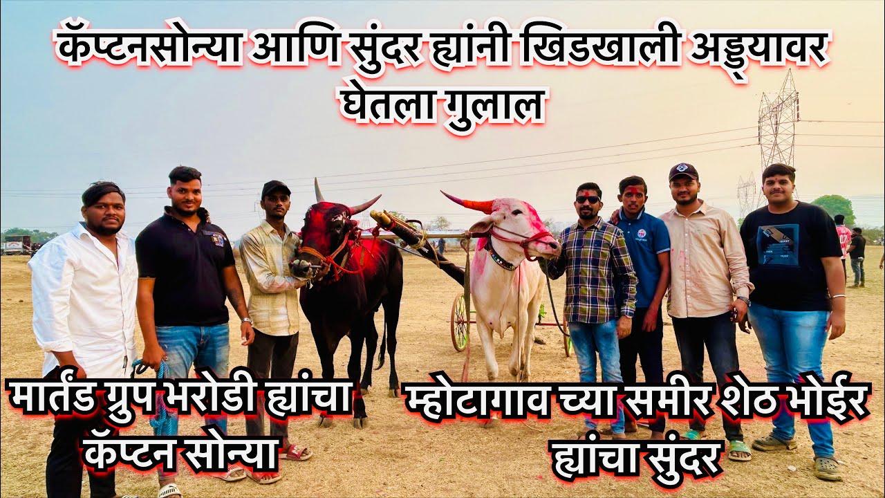 Bailgada sharyat |live bailgada sharyat | new video |new blog |viral Video |captansonya aani sundar