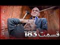 سریال وادی گرگ ها 183 قسمت را تماشا کنید Farsi Dubbed 