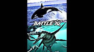 Orca vs Liopleurodon