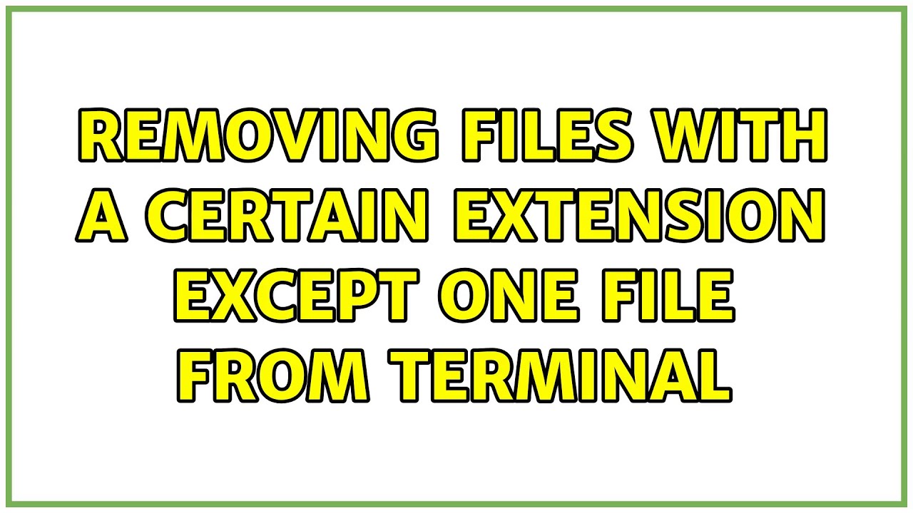 Ubuntu Removing Files With A Certain Extension Except One File From