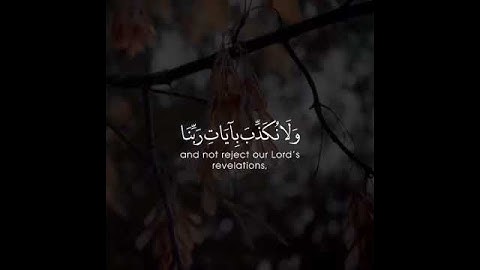 القارئ عمر بن عبد العزيز .. آيات قرآنيه مريحه للقلب ... آيات قصيره