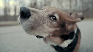 Dont Panic interlude  Kitty