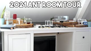 The Esthetic Ants 2021 Ant Room Tour