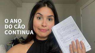 Análise do PRIMEIRO mês QUITANDO MINHAS DÍVIDAS (em 2026!)