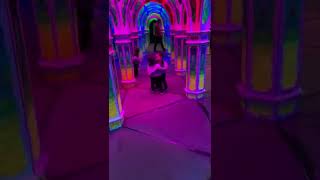 Boy runs in mirror maze then bumps his face and bounces off the wall