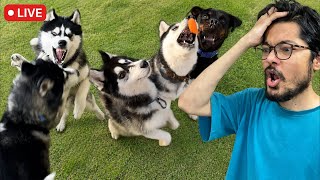 2 million subscriber special review reloaded live❤️