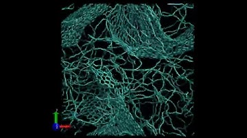 Scientists develop new machine learning method for modeling chemical reactions