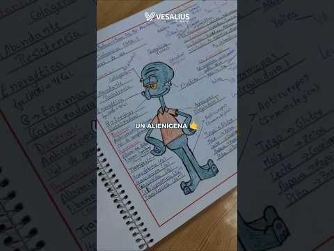 REVISANDO CUADERNOS A