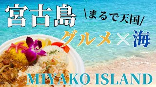 【宮古島グルメ】もずく食べ放題！ガーリックシュリンプ︎｜Miyako Island in Okinawa. Okinawan local food and wild sea turtles!