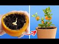 Unleashing the Power of Epic Gardening Hacks!