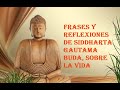 Frases y Reflexiones de Siddharta Gautama Buda sobre la vida.