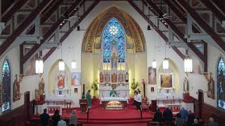 Our Lady of Ostrabrama: 5:30pm Mass - 16th Sunday in Ordinary Time 7/18/2026