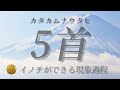【カタカムナウタヒ 5首】イノチができる現象過程