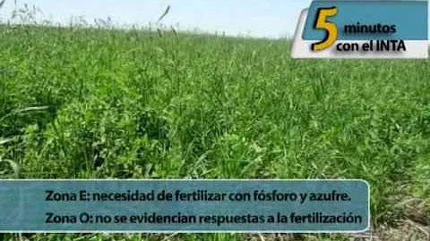 Proč je lněné semínko dobré pro zdraví štítné žlázy?