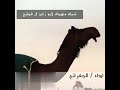 شيلة كنها الجمل وقت الهدادي أداء جفران بن هضبان