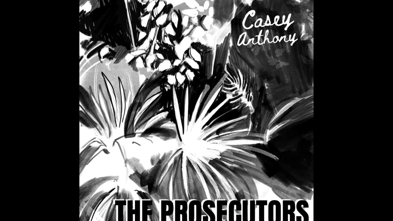 140. The Trial of Casey Anthony Part 3
