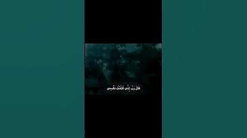تلاوة عذبة 🩵