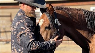 Shoeing My Most Dangerous Horse