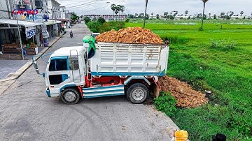 NICELY! Start Project LANDFILL  by Expert Driver 5T Trucks Unloading SoilRock &Dozer D31P Push Clear